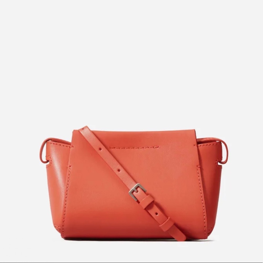 Everlane Mini Bag in Coral